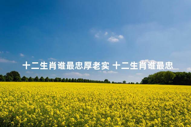 十二生肖谁最忠厚老实 十二生肖谁最忠厚老实绝顶聪明